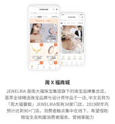 获“高新手艺企业”“中国软件协会会员