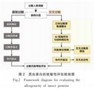 并正在相对低剂量程度下诱发显著的Th2型炎症反